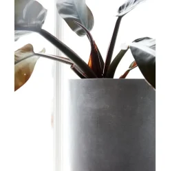 Set De Maceteros Grandes De Hormigon Gard, 3 Uds.