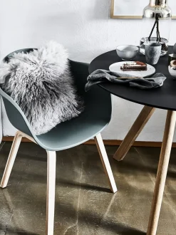 Silla Con Reposabrazos De Plastico Claire