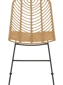 Silla De Ratan Providencia