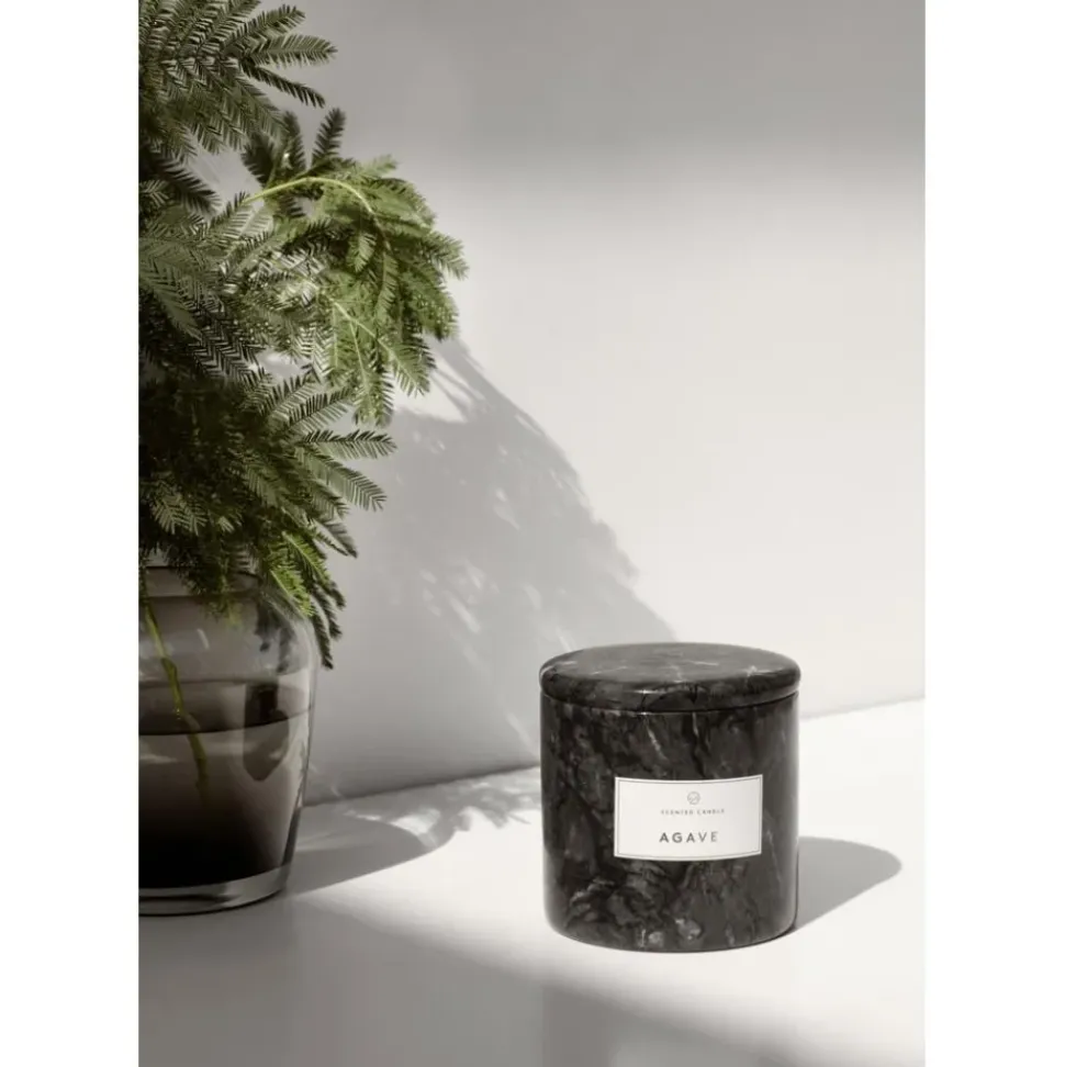 Vela Perfumada Frable (Agave)