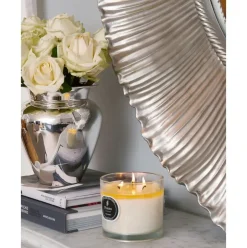 Vela Perfumada Tres Mechas Parks Original (Vainilla Y Citricos)